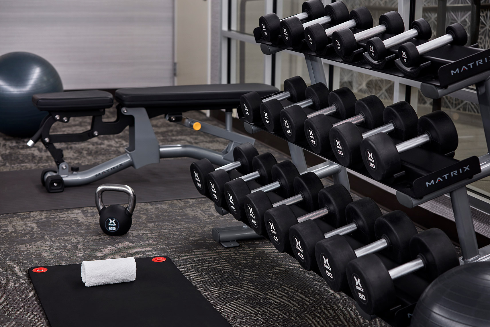 Fairfield Inn & Suites Washington, DC/Downtown - Fitness Center Weights